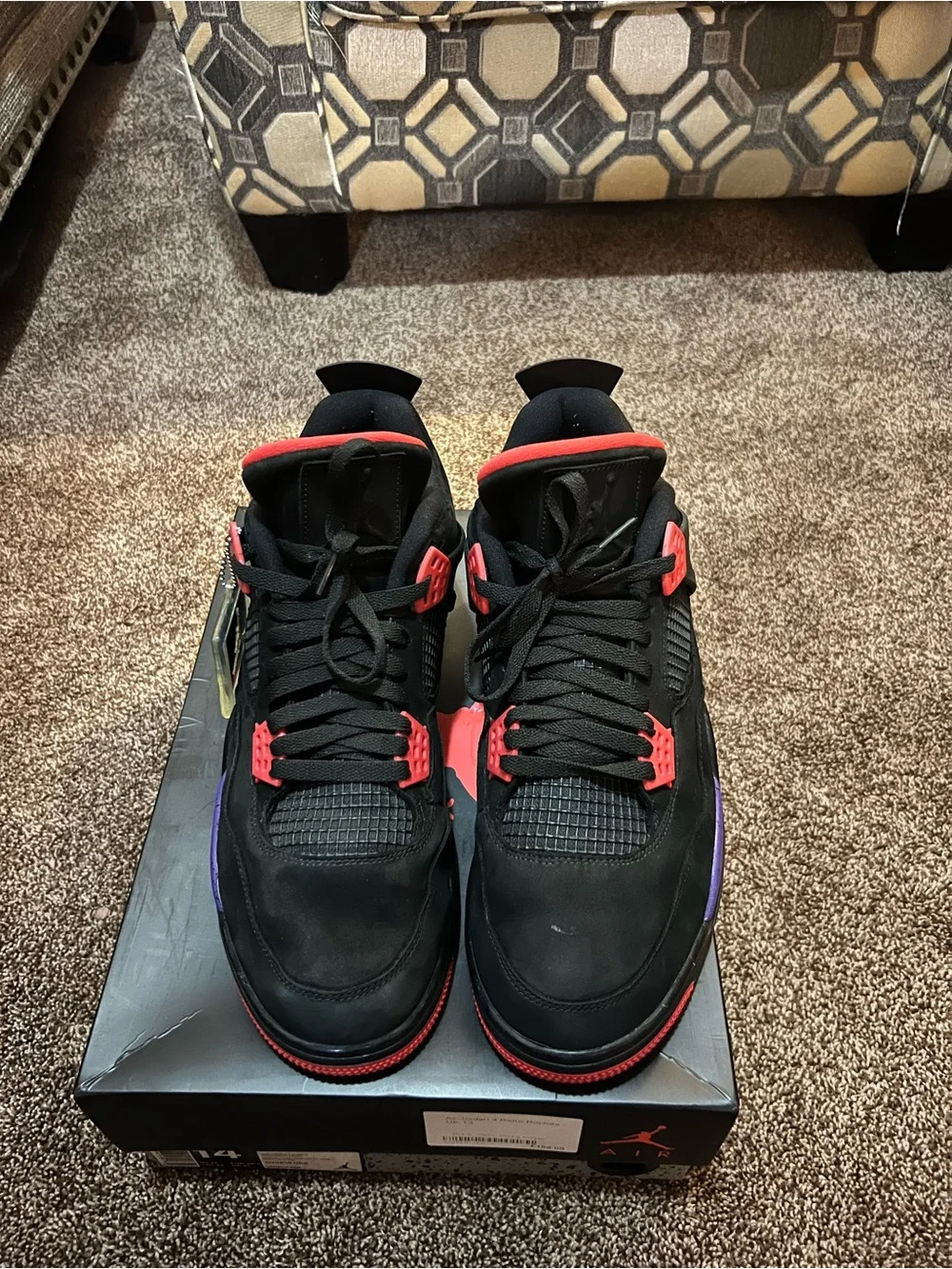 Jordan 4 Raptors